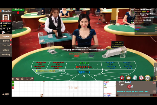 PlayAce (AE) dragontiger